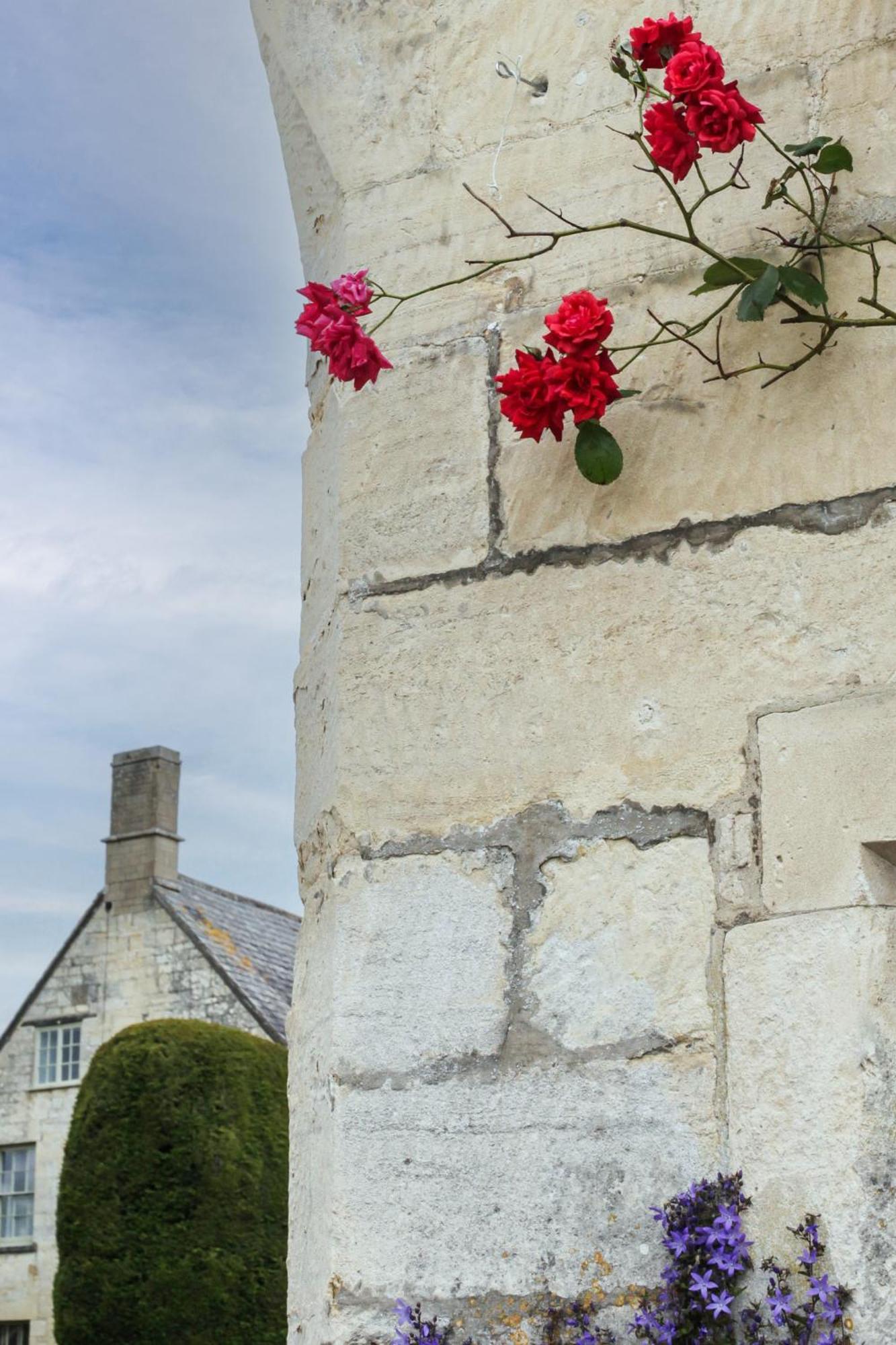Bright & Beautiful Open Plan Coach House Painswick Villa Eksteriør billede